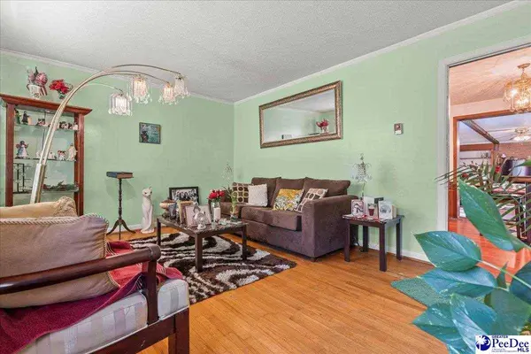 314 Hopkins St, Manning, SC 29102