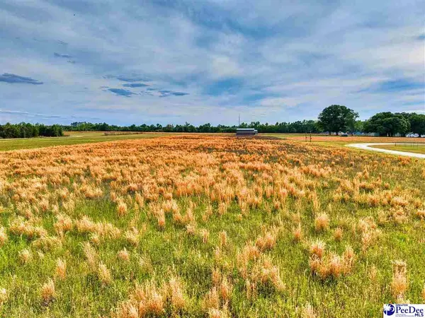 Lot #4 Liberty Chapel Rd, Florence, SC 29506