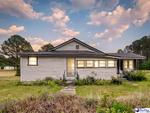 61 Willie Millan Drive, Kingstree, SC 29556