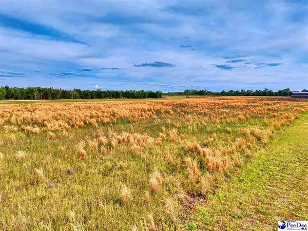 Lot #4 Liberty Chapel Rd, Florence, SC 29506