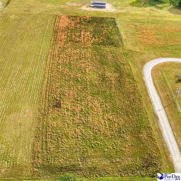 Lot #4 Liberty Chapel Rd, Florence, SC 29506