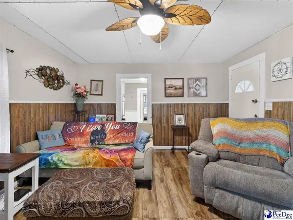 224 Godfrey Street, Cheraw, SC 29520