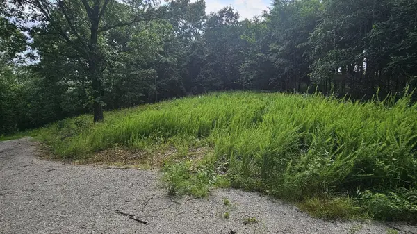 Lot #13 Hanging Branch, Cape Fair, MO 65624