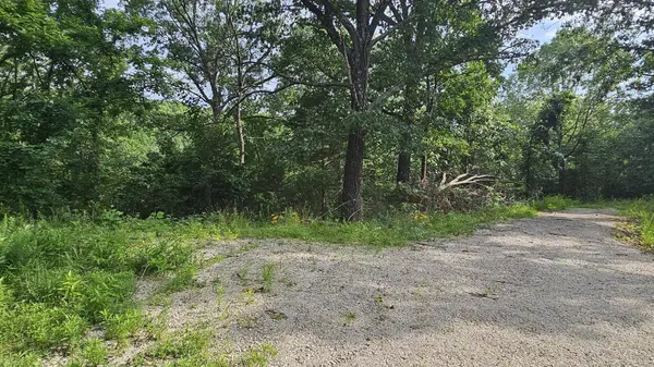 Lot #13 Hanging Branch, Cape Fair, MO 65624