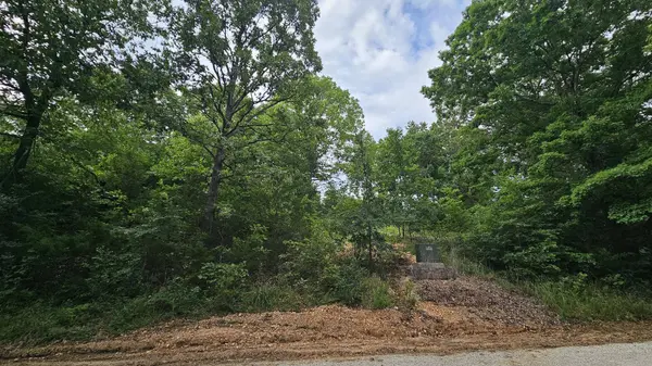 Lot #13 Hanging Branch, Cape Fair, MO 65624
