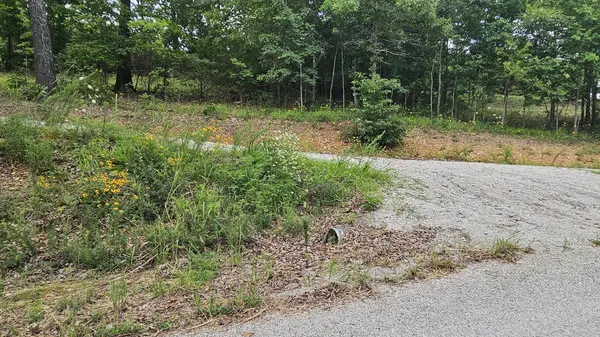 Lot #13 Hanging Branch, Cape Fair, MO 65624