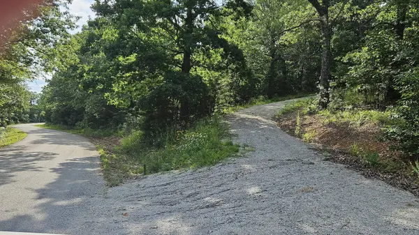 Lot #13 Hanging Branch, Cape Fair, MO 65624