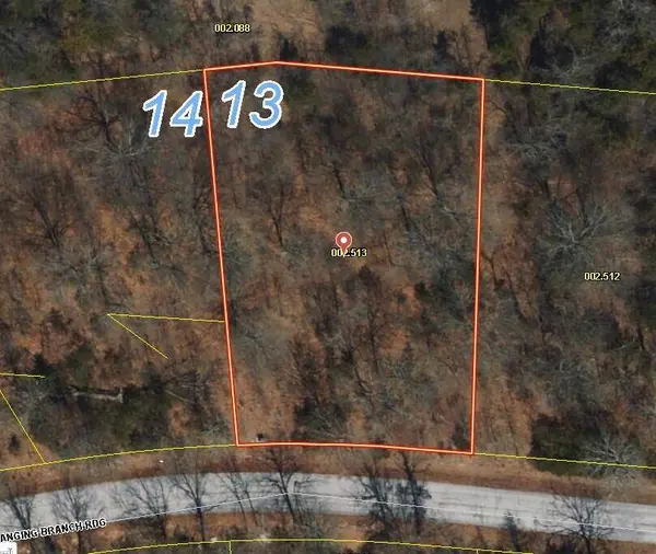 Lot #13 Hanging Branch, Cape Fair, MO 65624