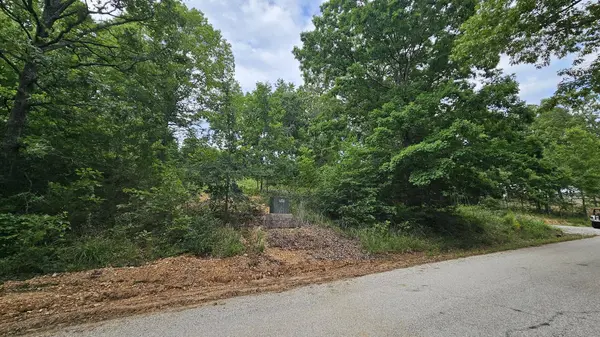Lot #13 Hanging Branch, Cape Fair, MO 65624