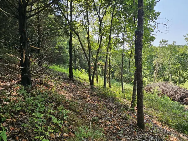 000 Mclean RD, Ozark, MO 65721