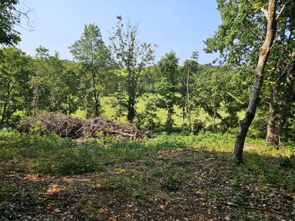 000 Mclean RD