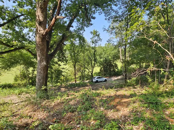 000 Mclean RD, Ozark, MO 65721
