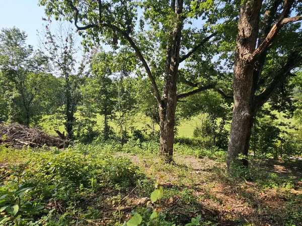 000 Mclean RD, Ozark, MO 65721