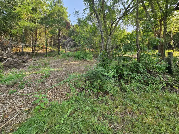 000 Mclean RD, Ozark, MO 65721