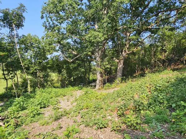 000 Mclean RD, Ozark, MO 65721