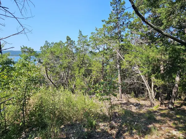 000 Pioneer Point RD, Galena, MO 65656