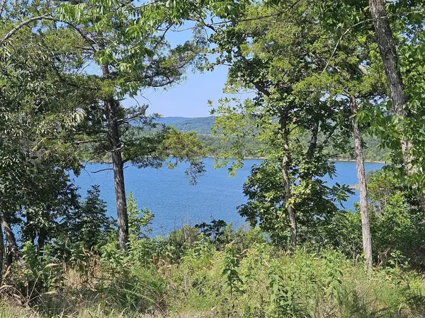 000 Pioneer Point RD, Galena, MO 65656