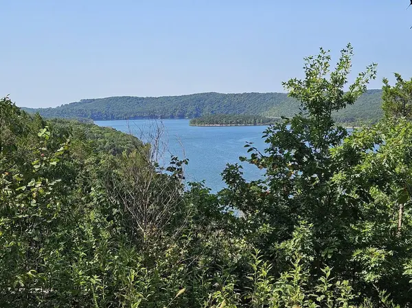 000 Pioneer Point RD, Galena, MO 65656