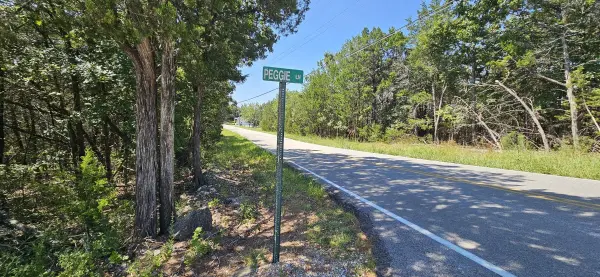 000 Pioneer Point RD, Galena, MO 65656