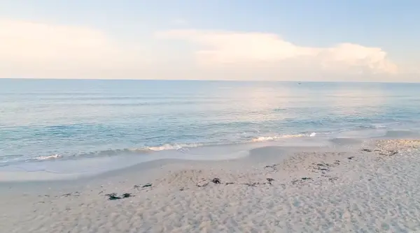 Building Your Dream Beach House on Florida's Gulf Coast. What You Need to Know Before You Build in Anna Maria Island and Siesta Key.