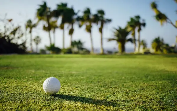The Best Golf Courses and Outdoor Activities Near Florida's Gulf Coast Homes. Discover the Lifestyle That Makes Sarasota, Tampa, and St. Petersburg So Desirable.