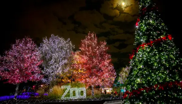 The Top Community Events and Festivals in Greater Cincinnati