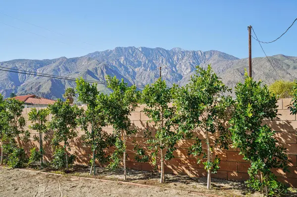 3757 El Dorado BLVD, Palm Springs, CA 92262