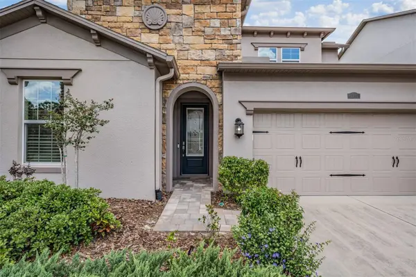 4557 VERMILLION SKY DR, Wesley Chapel, FL 33544