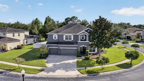 4419 WILDSTAR CIR, Wesley Chapel, FL 33544