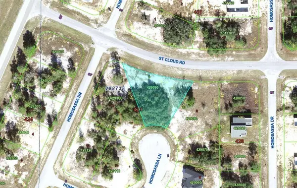 607 HOMOSASSA LN, Poinciana, FL 34759