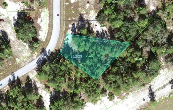 1318 HOMOSASSA DR, Kissimmee, FL 34759