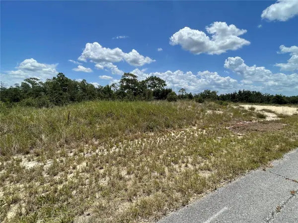 1342 HOMOSASSA CT, Poinciana, FL 34759