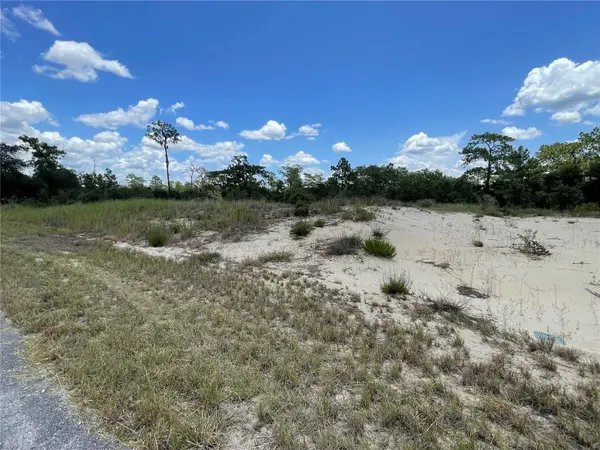 1342 HOMOSASSA CT, Poinciana, FL 34759