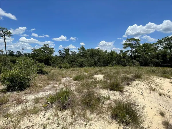 1342 HOMOSASSA CT, Poinciana, FL 34759