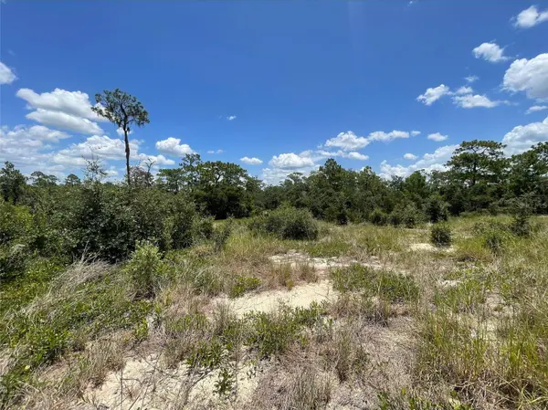 1340 HOMOSASSA CT, Kissimmee, FL 34759