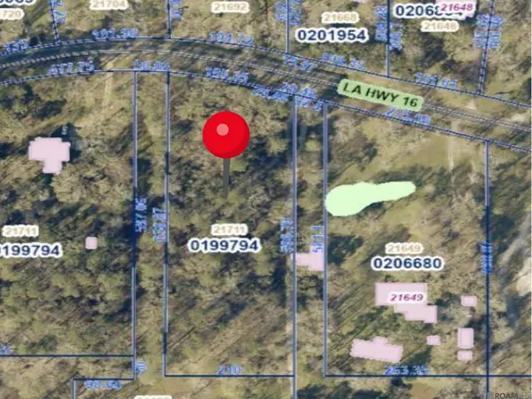 Lot B-1-C La Hwy 16, Denham Springs, LA 70726