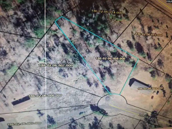Lot #8 Longleaf Court #Lot #8, Ridgeway, SC 29130
