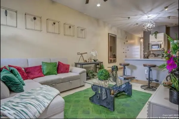 1542 N Alamo UNIT UNIT 203, San Antonio, TX 78215