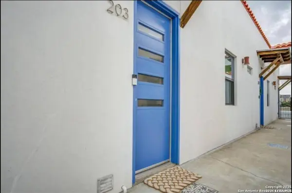 1542 N Alamo UNIT UNIT 203, San Antonio, TX 78215