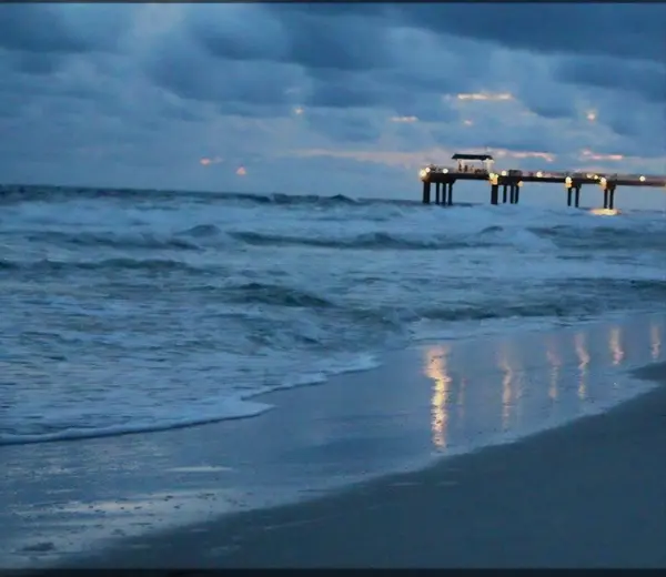 Rainy Day Things to Do in Lake Worth Beach (Indoor & Cozy Local Spots),Twins Selling The Palm Beaches