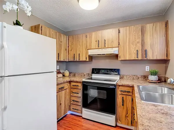 7310 IVORY TER, New Port Richey, FL 34655