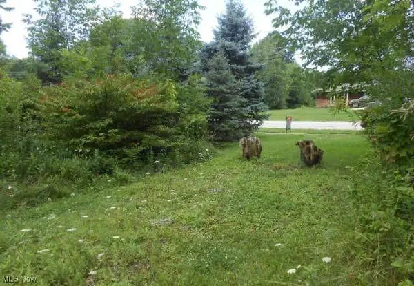 VL Shurmer RD, Strongsville, OH 44136