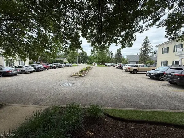 255 Park PL, Chagrin Falls, OH 44022