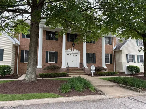 255 Park PL, Chagrin Falls, OH 44022