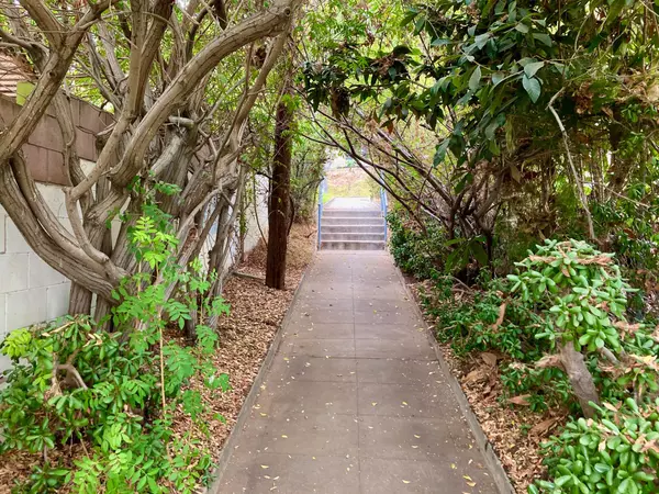 Exploring The Rolando Catwalks: A Hidden San Diego Treasure