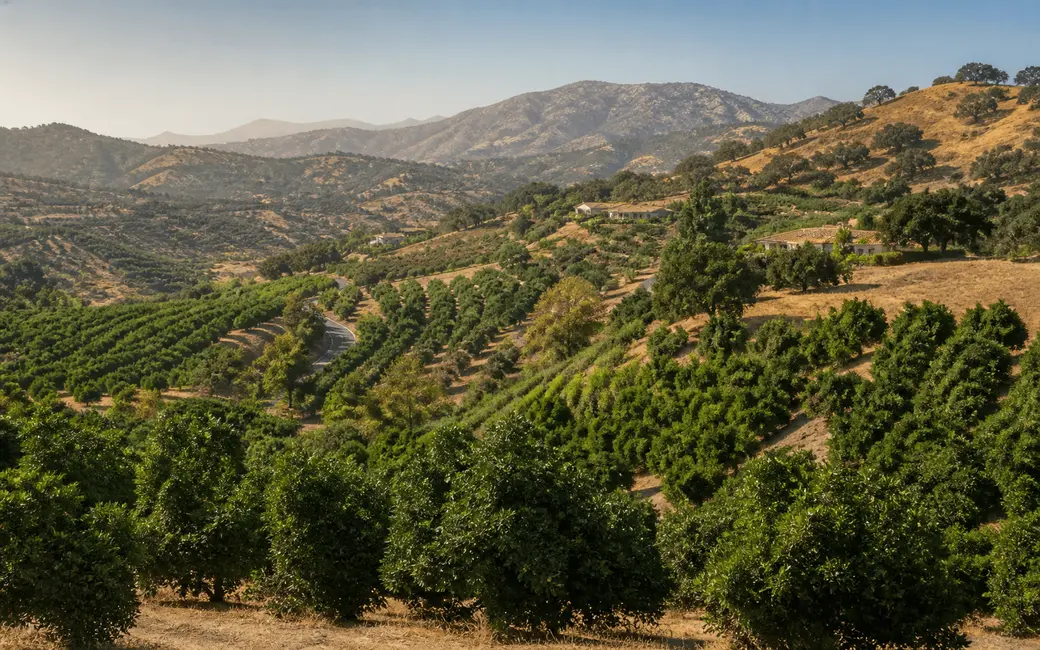 Fallbrook, Bonsall, Temecula or the Coast? Choosing Your North County Home Base