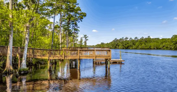 Do You Need Flood Insurance When Buying a Home in Myrtle Beach, SC?,Bigg Lloyd Dotson