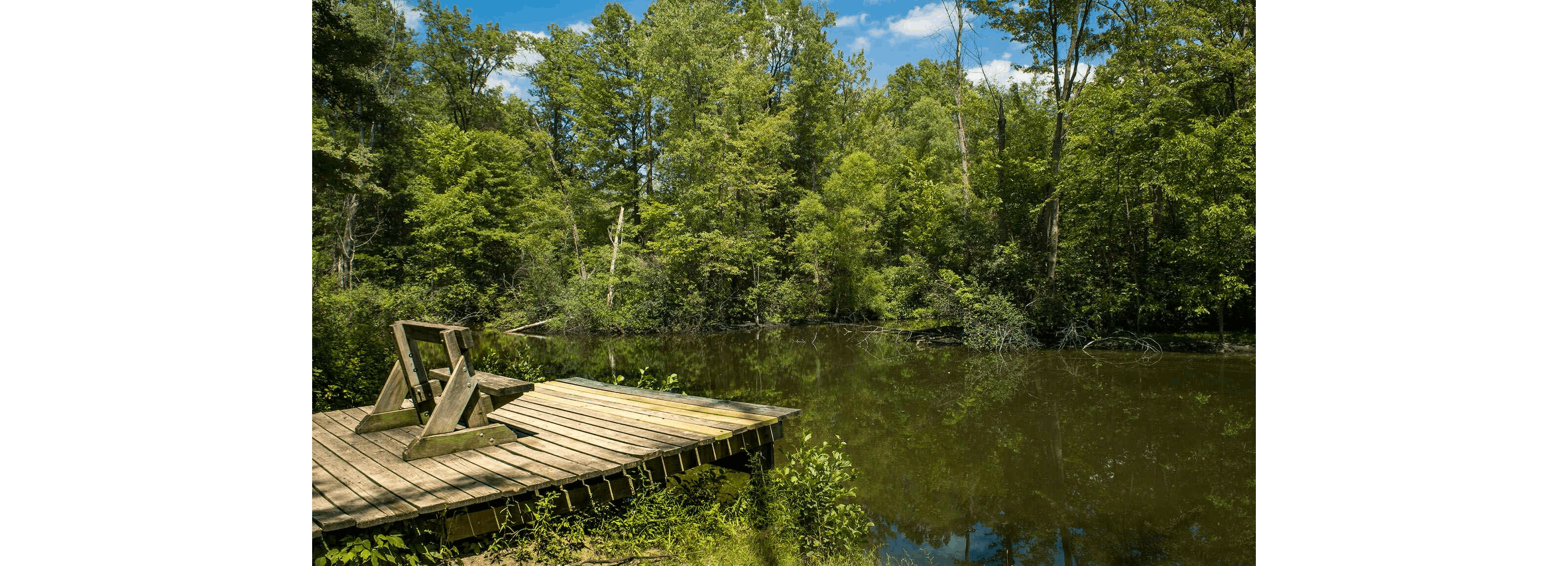 Wooded waterway and wooden platform at Bradley Woods Reservation
