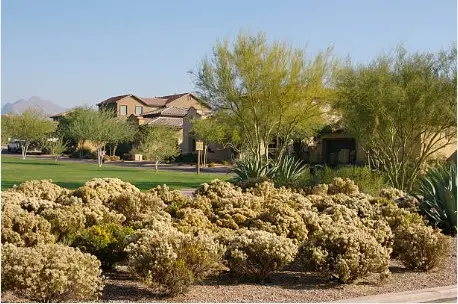 PHX_05