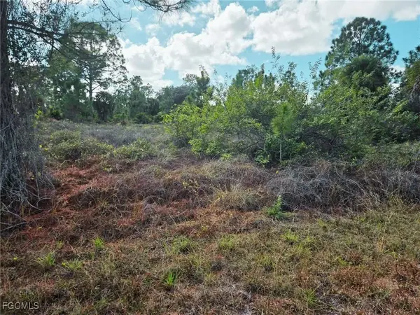 951 Chadwick AVE, Lehigh Acres, FL 33974